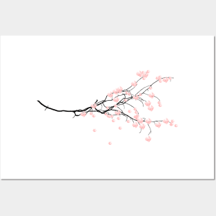 Cherry Blossoms Posters and Art